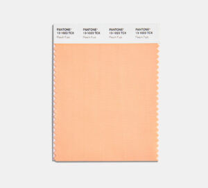 Pantone FHI cotton swatch